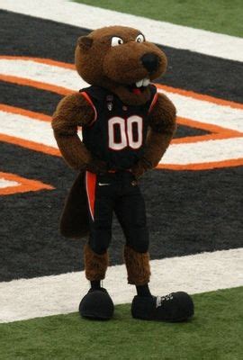 Benny beaver mascot